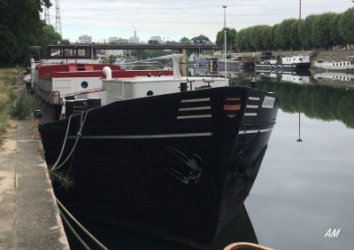 Le Negus f2.jpg (201.9 Kio) Vu 1261 fois Le Negus f2.jpg