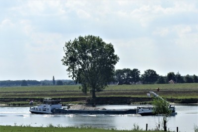 2.jpg (70.87 Kio) Vu 1562 fois 2.jpg