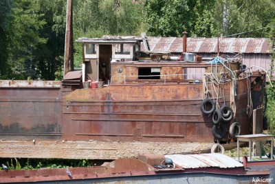 LENA + DAGO - juillet 2020 (4).JPG (225.86 Kio) Vu 7274 fois LENA + DAGO - juillet 2020 (4).JPG