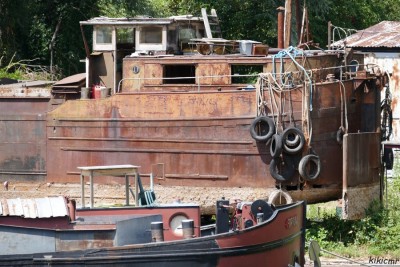 LENA + DAGO - juillet 2020 (7).JPG (208.29 Kio) Vu 7567 fois LENA + DAGO - juillet 2020 (7).JPG