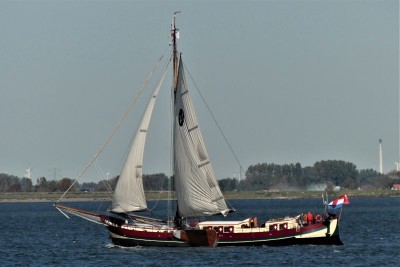 Hoop-op-Zegen-3-18-09-2020-Middelharnis-Sommelsdijk (2).jpg (55.43 Kio) Vu 1613 fois Hoop-op-Zegen-3-18-09-2020-Middelharnis-Sommelsdijk (2).jpg