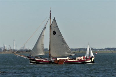 Hoop-op-Zegen-1-18-09-2020-Middelharnis-Sommelsdijk (2).jpg (59.8 Kio) Vu 1613 fois Hoop-op-Zegen-1-18-09-2020-Middelharnis-Sommelsdijk (2).jpg