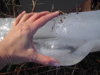 PICT1860GLACEI.jpg