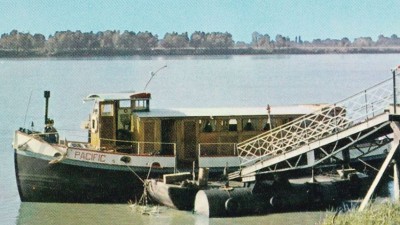 PACIFIC VAGUS 03.jpg