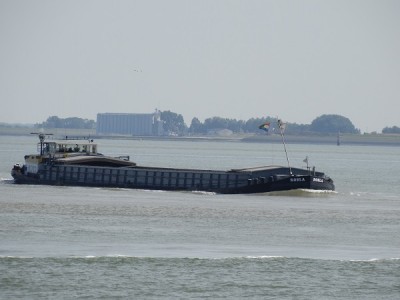 ROBLA-2-26-08-2014.jpg