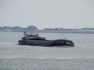 ROBLA-1-26-08-2014.jpg