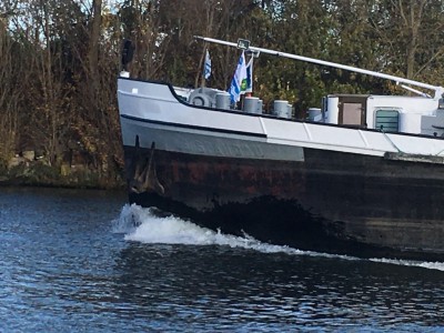 Amazonia p.jpg (232.19 Kio) Vu 2416 fois Amazonia p.jpg