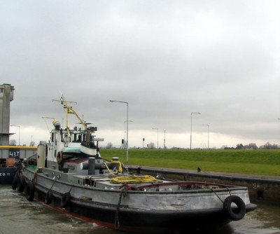 trekvogel617022009.jpg (94.76 Kio) Vu 1802 fois trekvogel617022009.jpg