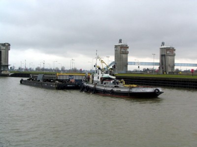 trekvogel517022009.jpg (151.52 Kio) Vu 1802 fois trekvogel517022009.jpg