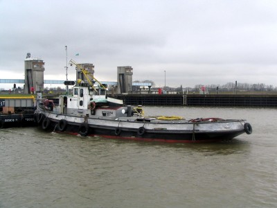 trekvogel417022009.jpg (160.77 Kio) Vu 1802 fois trekvogel417022009.jpg