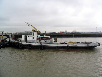 trekvogel317022009.jpg (150.25 Kio) Vu 1802 fois trekvogel317022009.jpg