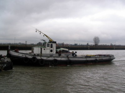 trekvogel217022009.jpg (126.39 Kio) Vu 1802 fois trekvogel217022009.jpg