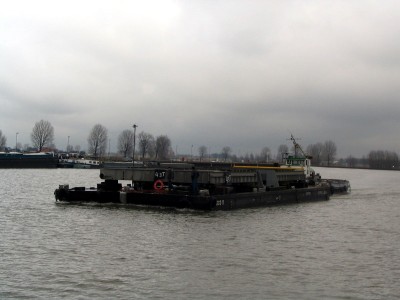 trekvogel117022009.jpg (144.11 Kio) Vu 1802 fois trekvogel117022009.jpg