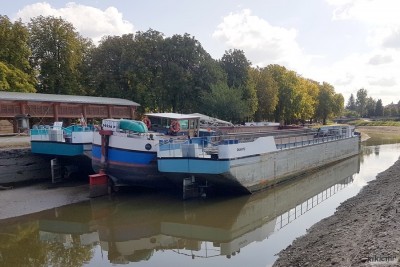 QUARTZ NOBIS MICA Thaon 20200921 (4).jpg (167.36 Kio) Vu 8087 fois QUARTZ NOBIS MICA Thaon 20200921 (4).jpg