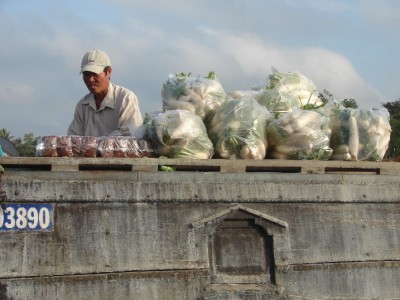 DSC02887.JPGa.jpg (119.14 Kio) Vu 1424 fois DSC02887.JPGa.jpg