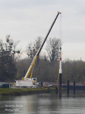 Duc d'albe St Mammès2 - Copie.JPG (168.31 Kio) Vu 31529 fois Duc d'albe St Mammès2 - Copie.JPG