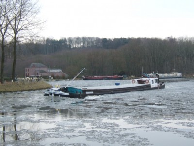 2010-1-16-Idefix26.JPG (110.46 Kio) Vu 5326 fois 2010-1-16-Idefix26.JPG