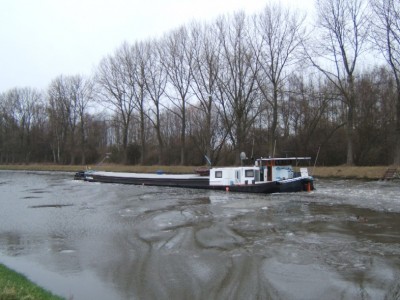 2010-1-16-Idefix21.JPG (135.35 Kio) Vu 5411 fois 2010-1-16-Idefix21.JPG