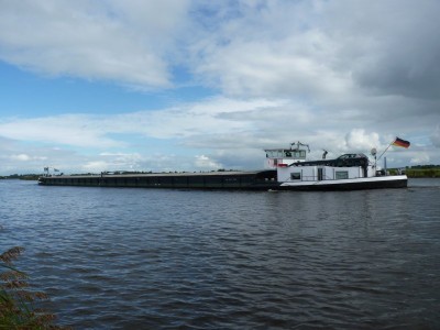 orca-4-18-09-2010.jpg