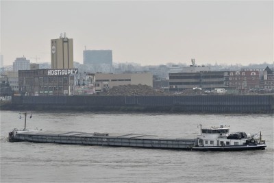 Pegasus-2-29-12-2020-Nijmegen (2).JPG (62.51 Kio) Vu 1050 fois Pegasus-2-29-12-2020-Nijmegen (2).JPG