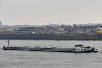 Pegasus-1-29-12-2020-Nijmegen (2).JPG (62.34 Kio) Vu 1050 fois Pegasus-1-29-12-2020-Nijmegen (2).JPG