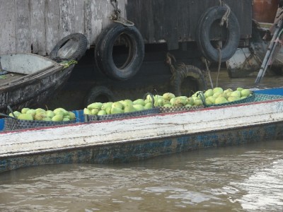 DSC02894.JPGa.jpg (130.92 Kio) Vu 1419 fois DSC02894.JPGa.jpg