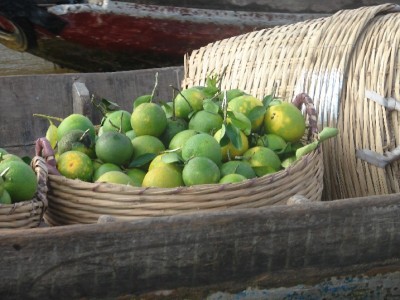 DSC02895.JPGa.jpg (117.33 Kio) Vu 1424 fois DSC02895.JPGa.jpg