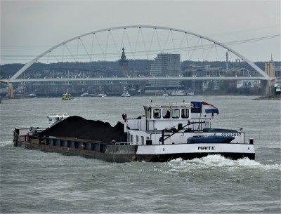 Maite-4-12-04-2019-Oosterhout.JPG (202.35 Kio) Vu 2225 fois Maite-4-12-04-2019-Oosterhout.JPG