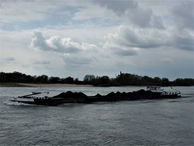 Maite-2-12-04-2019-Oosterhout.JPG (169.51 Kio) Vu 2225 fois Maite-2-12-04-2019-Oosterhout.JPG