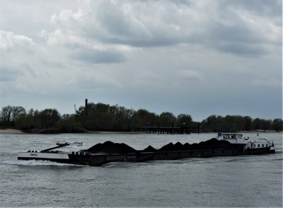 Maite-1-12-04-2019-Oosterhout.JPG (154.8 Kio) Vu 2225 fois Maite-1-12-04-2019-Oosterhout.JPG
