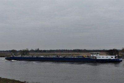 Solano-4-16-01-2021-Wellerlooi (2).JPG