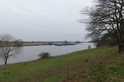 Solano-3-16-01-2021-Wellerlooi (2).JPG