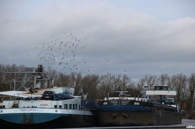 IMG_1828_1.JPG (95.58 Kio) Vu 1944 fois IMG_1828_1.JPG