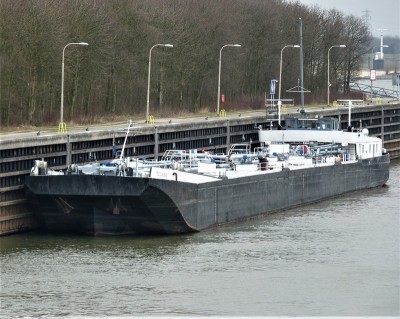 tejaro-1-19-03-2010 (2).JPG (263.55 Kio) Vu 1223 fois tejaro-1-19-03-2010 (2).JPG