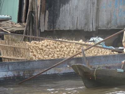 DSC02902.JPGa.jpg (127.26 Kio) Vu 1425 fois DSC02902.JPGa.jpg