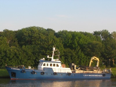 stormvogel-2-31-05-2009-2.jpg (202 Kio) Vu 1523 fois stormvogel-2-31-05-2009-2.jpg