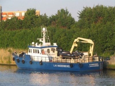 stormvogel-1-31-05-2009-1.jpg (254.43 Kio) Vu 1523 fois stormvogel-1-31-05-2009-1.jpg