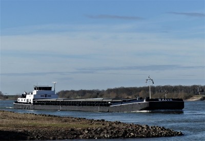 Salva-1-24-02-2021-Ewijk (2).JPG