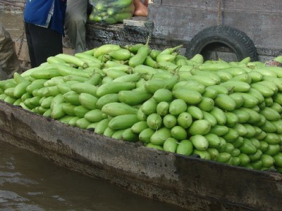 DSC02924.JPGa.jpg (129.31 Kio) Vu 1421 fois DSC02924.JPGa.jpg