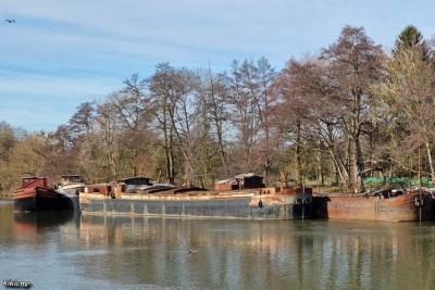 Hanweiler - mi-février 2021 - RAMSES (1).jpg (190.26 Kio) Vu 8904 fois Hanweiler - mi-février 2021 - RAMSES (1).jpg