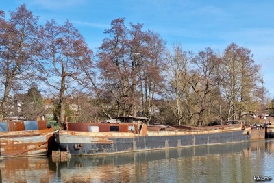 Hanweiler - mi-février 2021 - RAMSES (3).jpg (219.46 Kio) Vu 8906 fois Hanweiler - mi-février 2021 - RAMSES (3).jpg