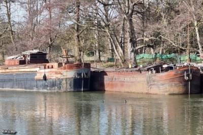 Hanweiler - mi-février 2021 - RAMSES (2).jpg (241.4 Kio) Vu 8904 fois Hanweiler - mi-février 2021 - RAMSES (2).jpg