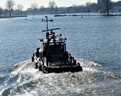 Sperwer-7-02-03-2021-sluis-Grave (2).JPG