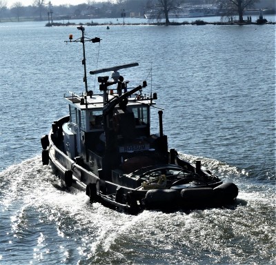 Sperwer-6-02-03-2021-sluis-Grave (2).JPG