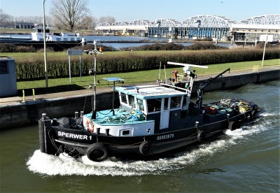 Sperwer-4-02-03-2021-sluis-Grave (2).JPG