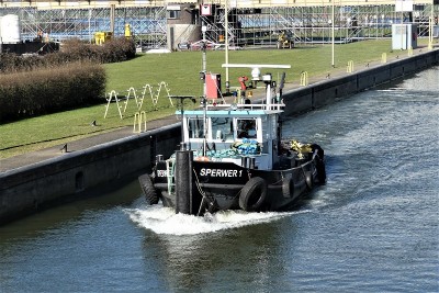 Sperwer-3-02-03-2021-sluis-Grave (2).JPG