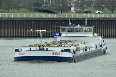 Sibilla-2-10-03-2021-sluis-Lith (2).JPG (215.45 Kio) Vu 2688 fois Sibilla-2-10-03-2021-sluis-Lith (2).JPG