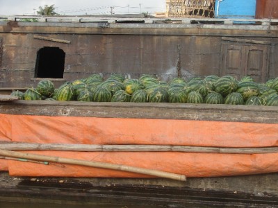 DSC02928.JPGa.jpg (127.44 Kio) Vu 1419 fois DSC02928.JPGa.jpg