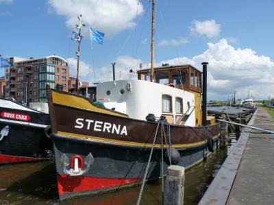 sterna-2-16-06-2011.jpg