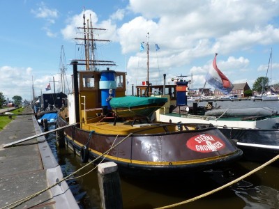 sterna-1-16-06-2011.jpg